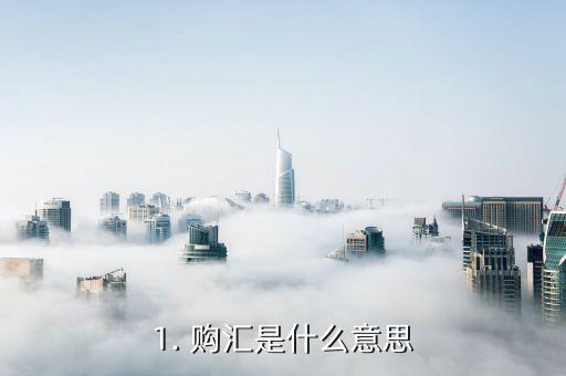 1. 购汇是开云官网安全访问意思
