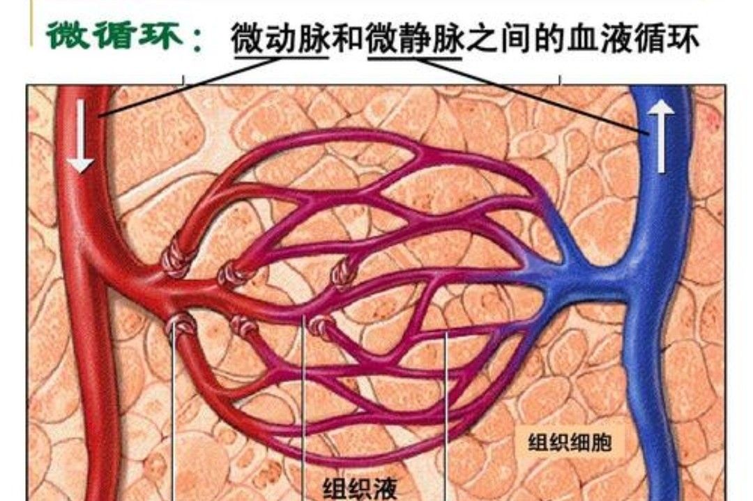 1小时前