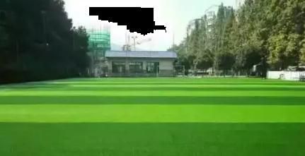 长沙望月公园里面有开云手机站登录入口安全访问玩的 长沙望月公园有哪些景点 怀旧影苑因为版权问题和内容合规性问题