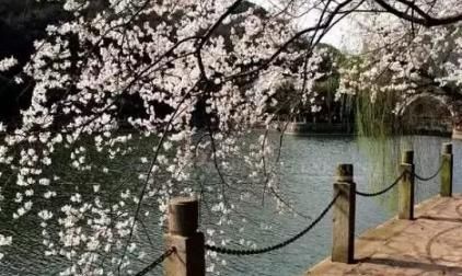 长沙望月公园里面有开云手机站登录入口安全访问玩的 长沙望月公园有哪些景点 曾经提供了大量经典电影