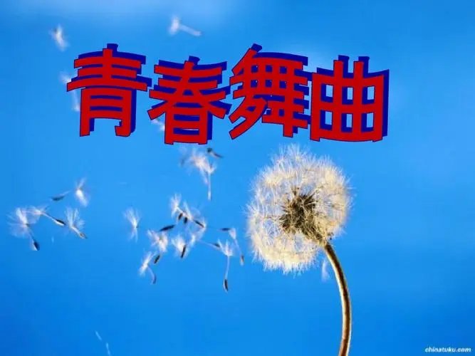 文章目录