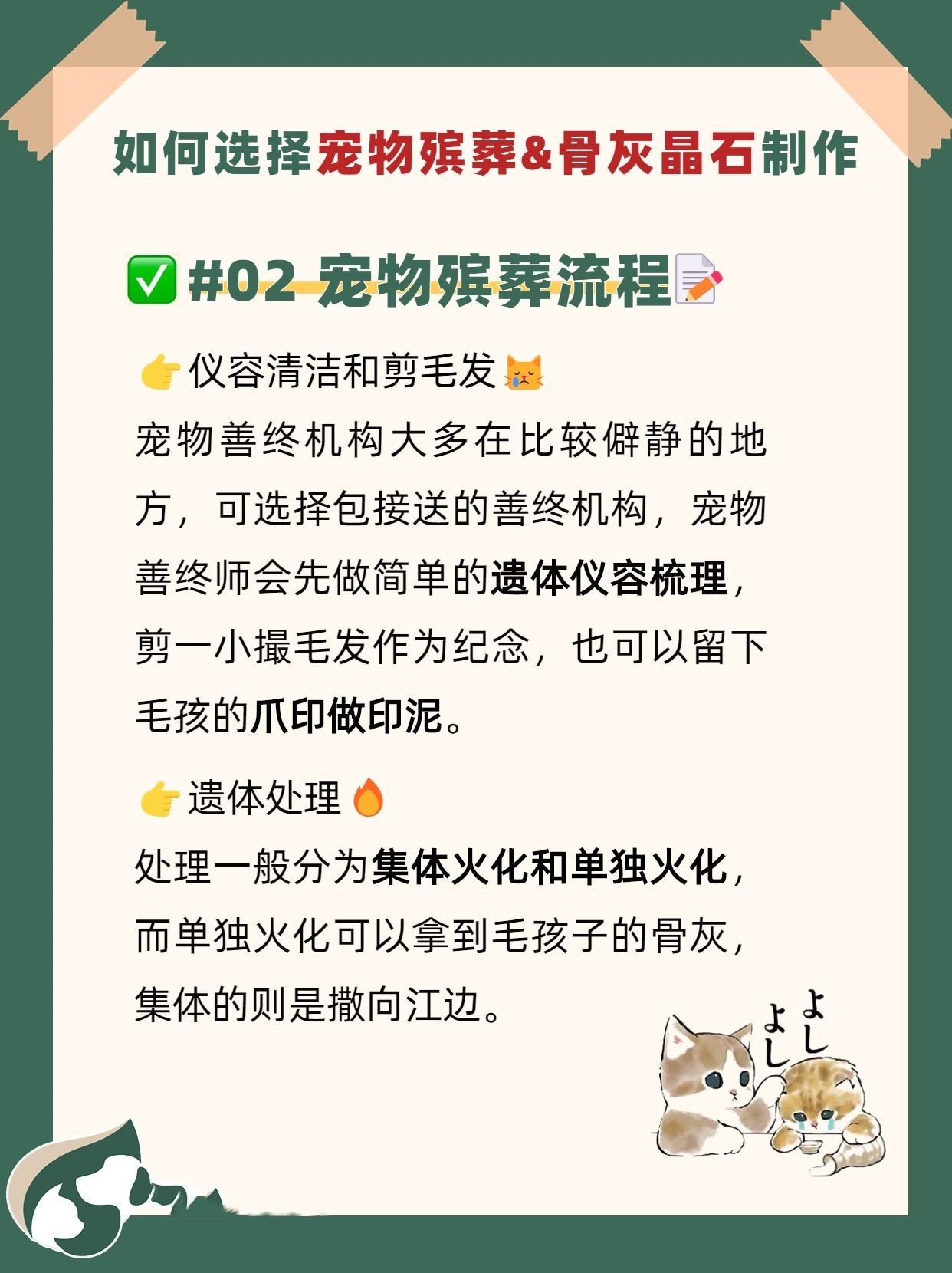 猫猫去世后