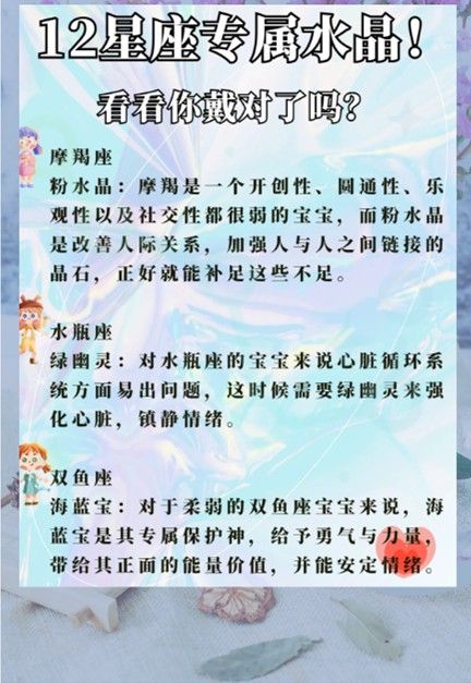 01.宠物殡葬的选择。