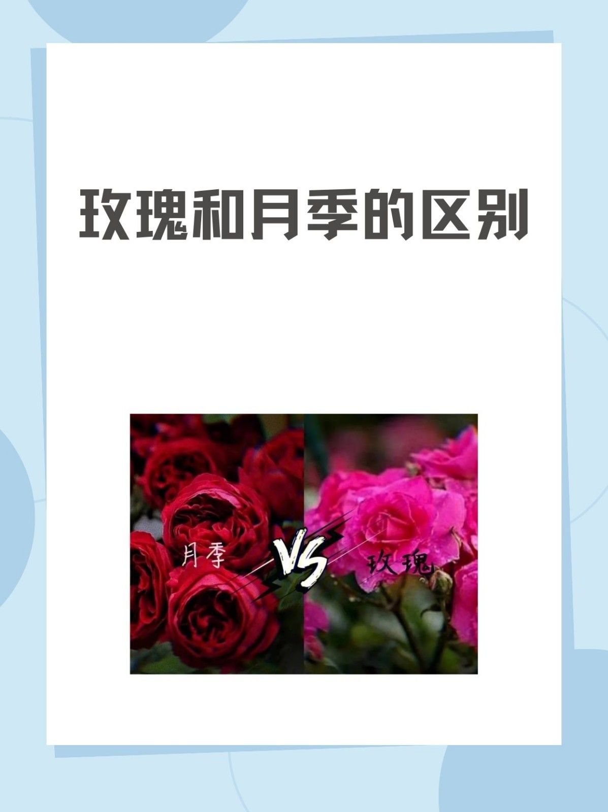 文章目录