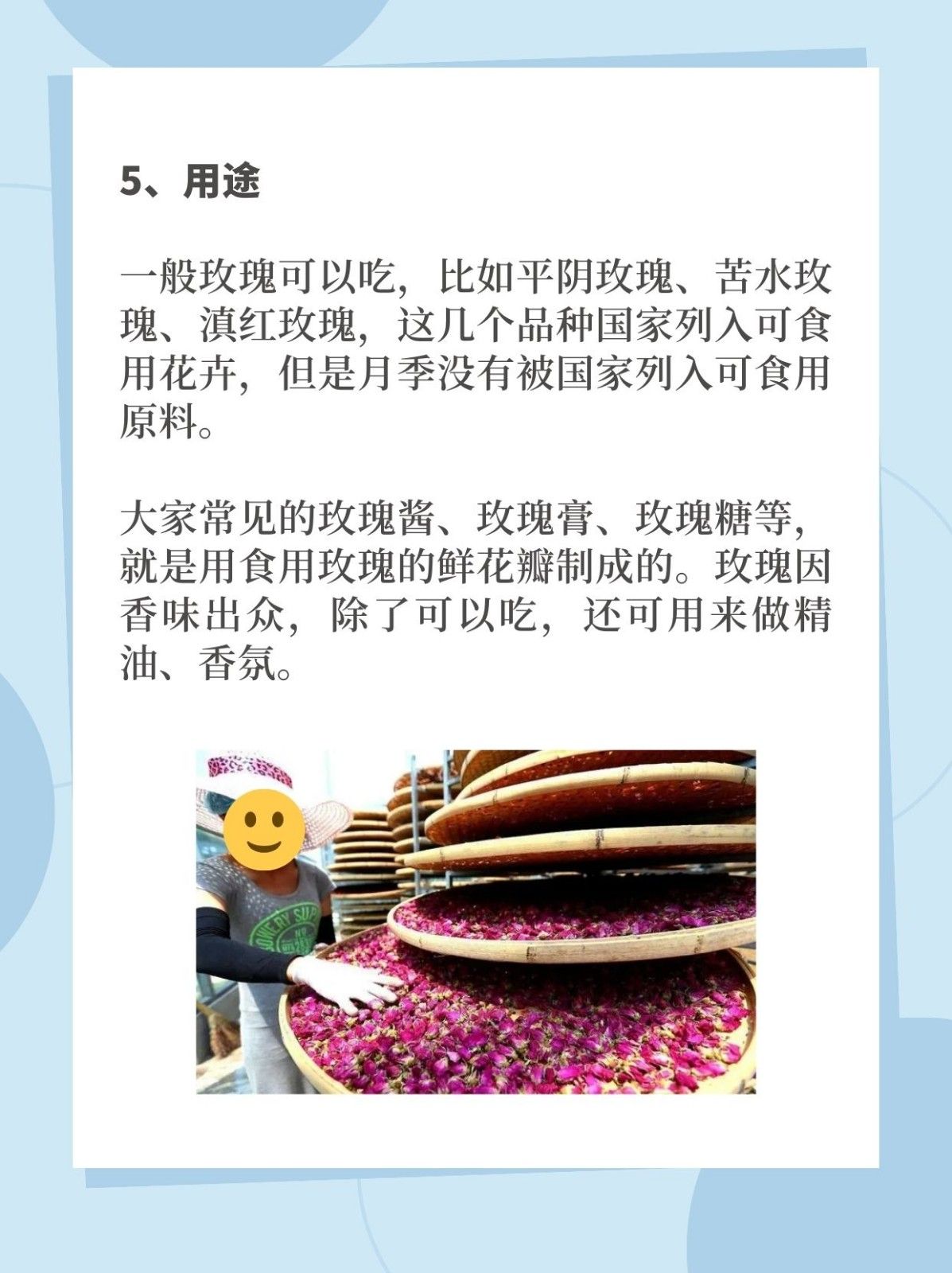 玫瑰花花瓣散