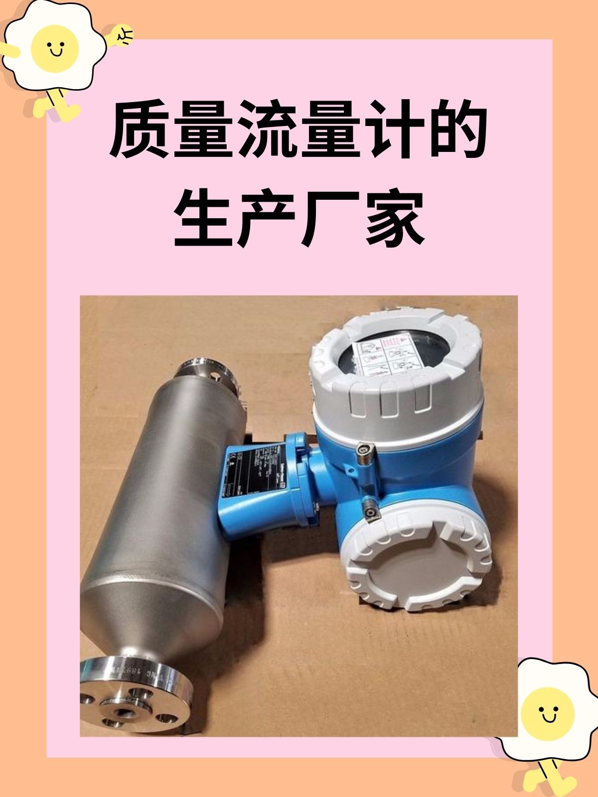 质量流量计的生产厂家 文章目录