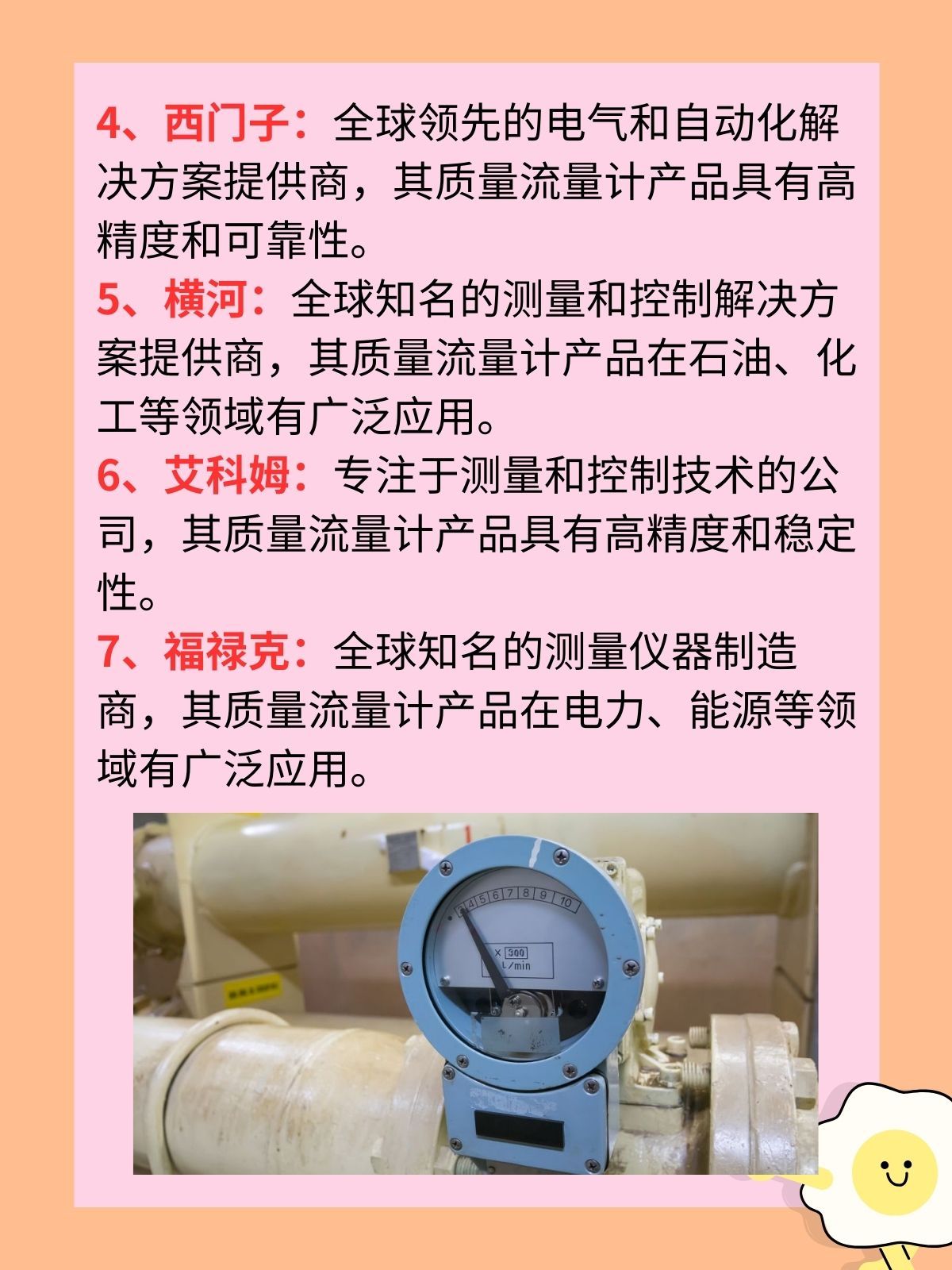 质量流量计的生产厂家 我认为质量流量计的生产厂家如下