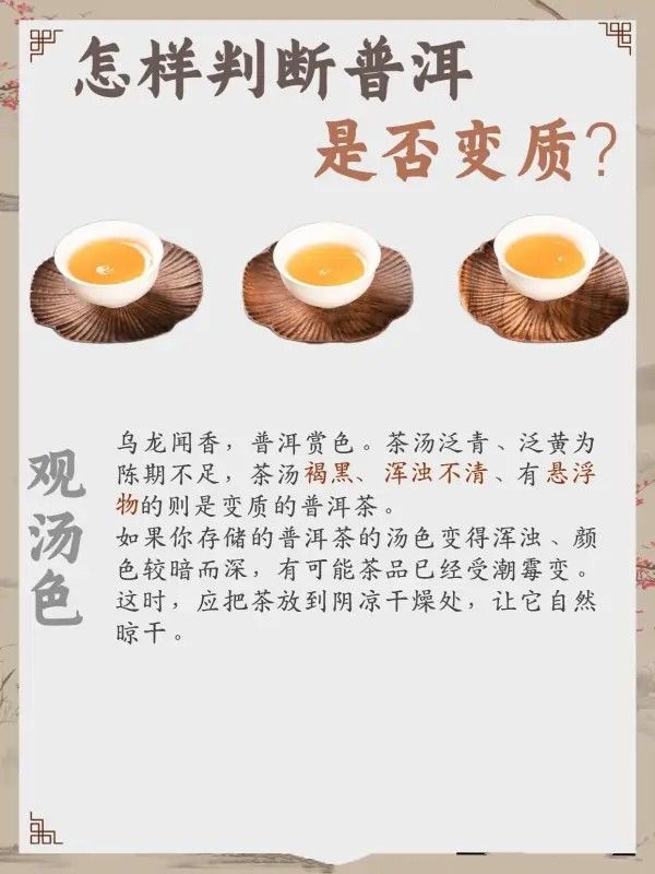 4个方法教你判断普洱是否变质 观茶面