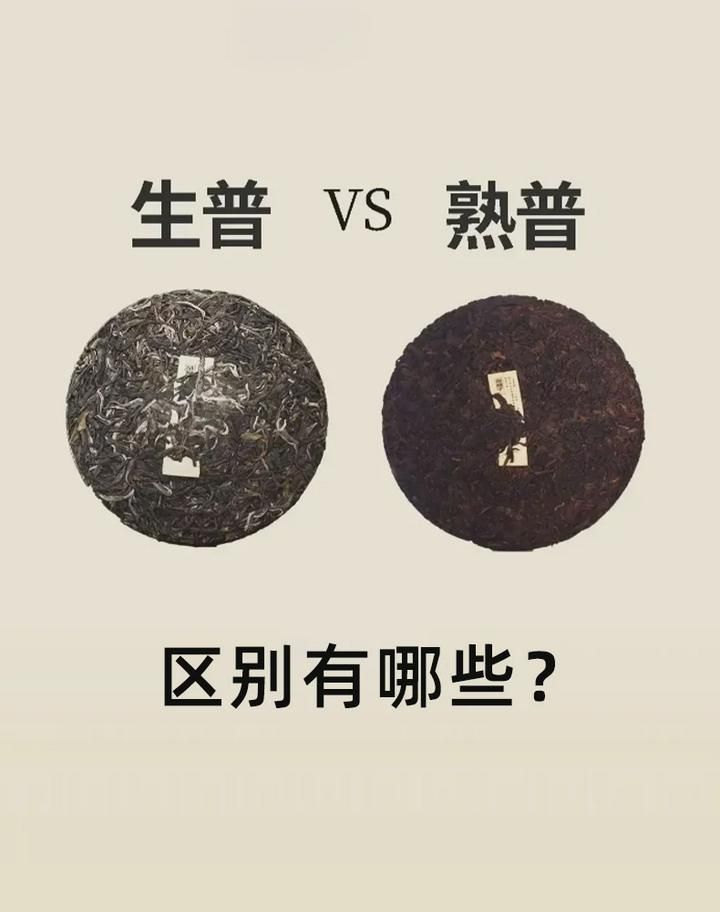 生普和熟普的区别? 随着年月的增长