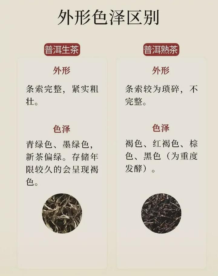 生普和熟普的区别? 茶面外形上匀整端正