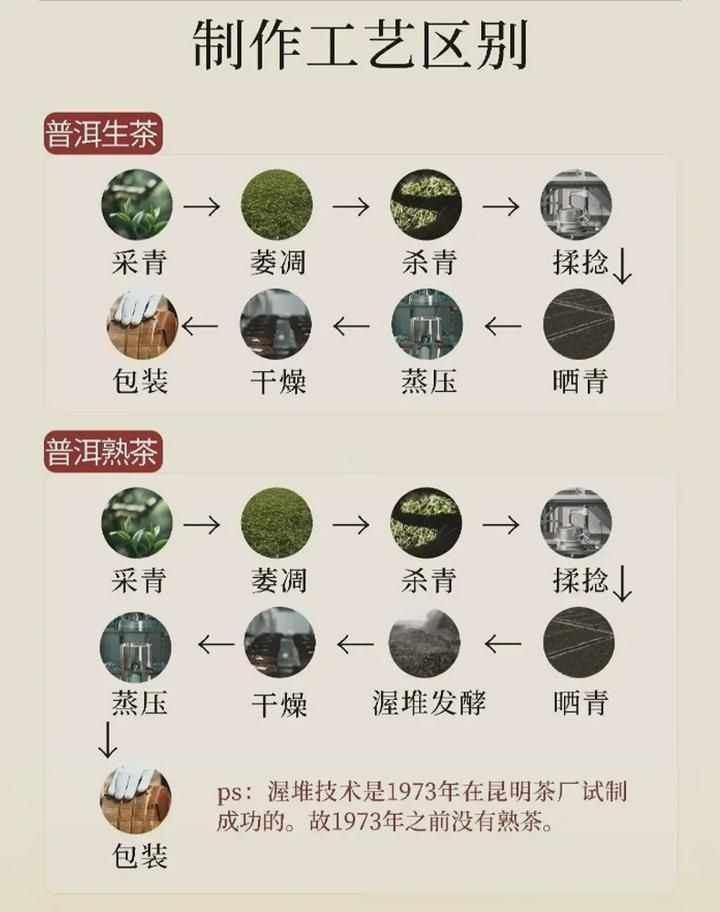 生普和熟普的区别? 饼窝自然