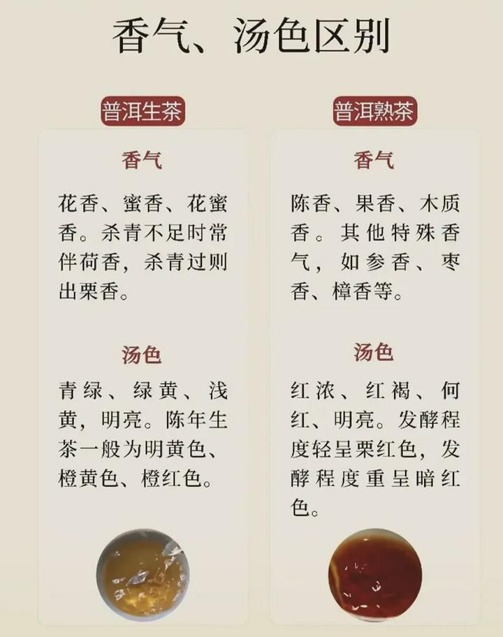 生普和熟普的区别? 饼形圆润