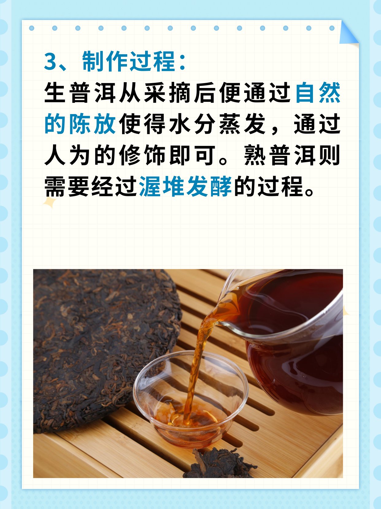 生潽洱茶好和熟潽洱的区别 松紧适度