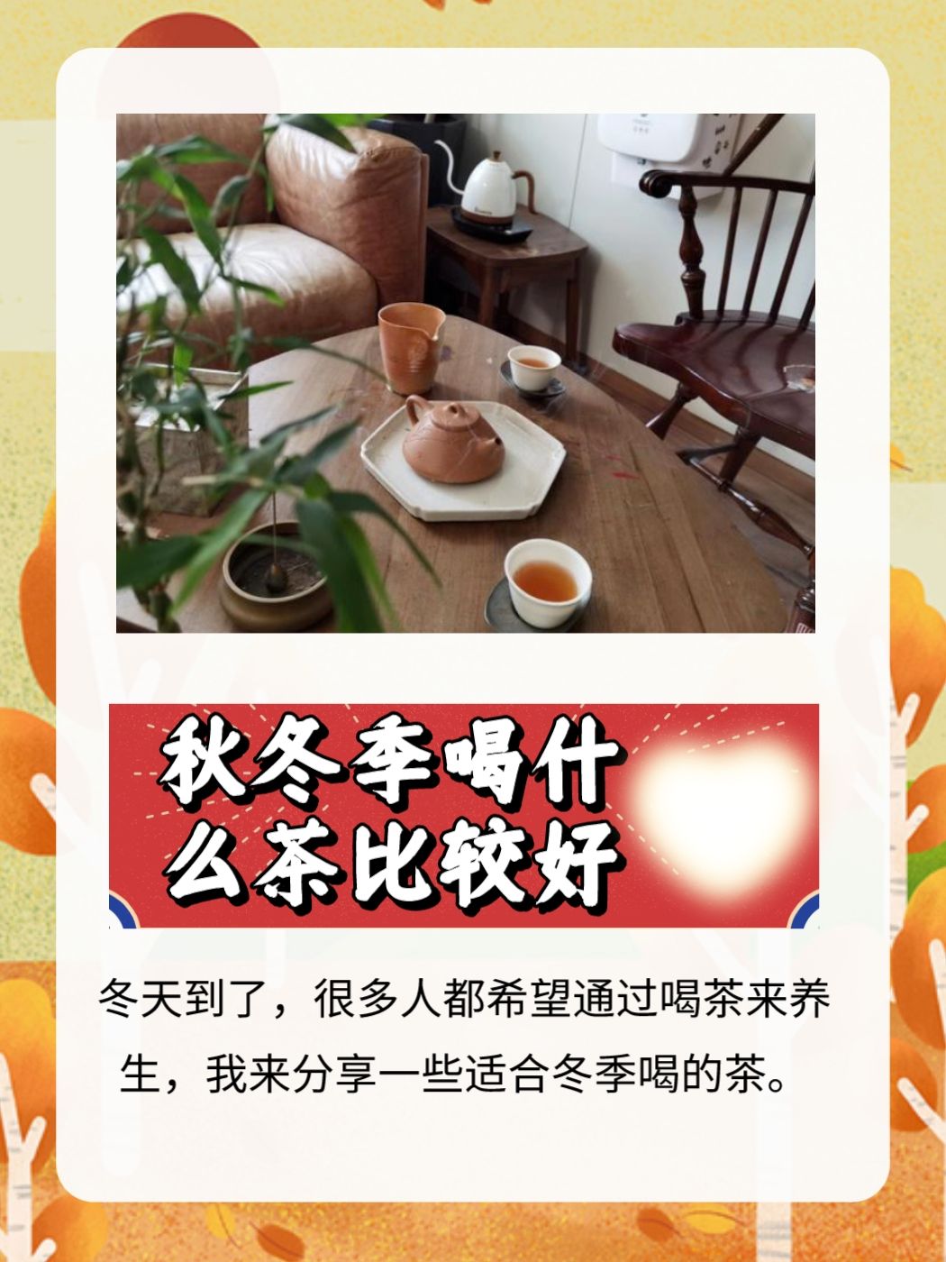 秋冬季喝开云手机站登录入口最新优惠茶比较好 冬季是一个调养养生的季节