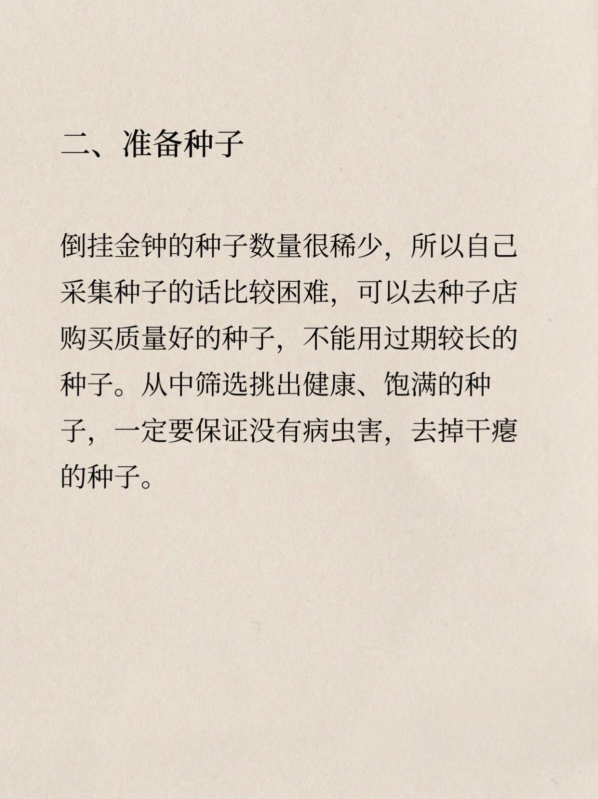倒挂金钟如何播种 倒挂金钟除了扦插外