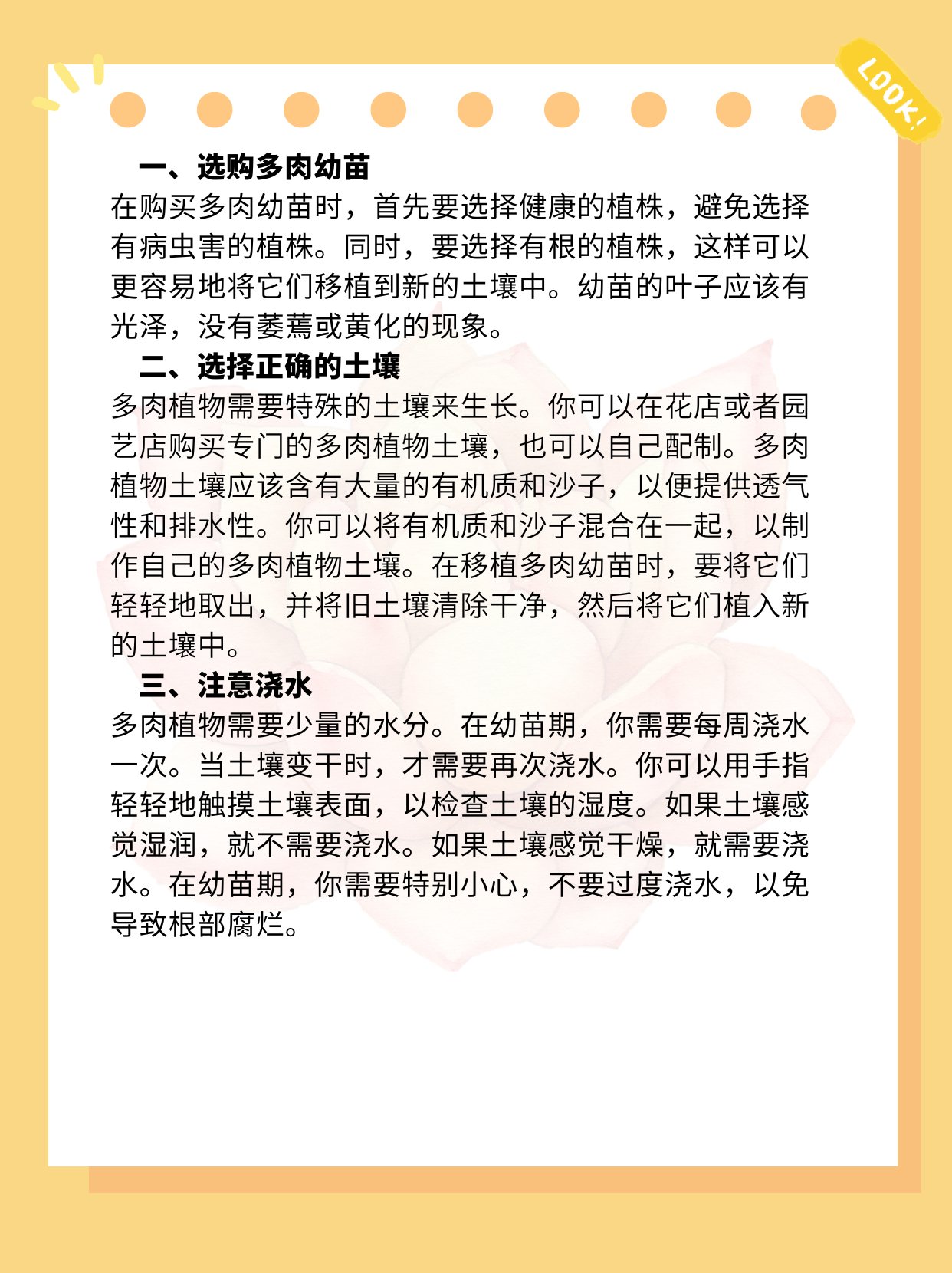 多肉幼苗怎么养? 符合某个草莓品种的特性特征