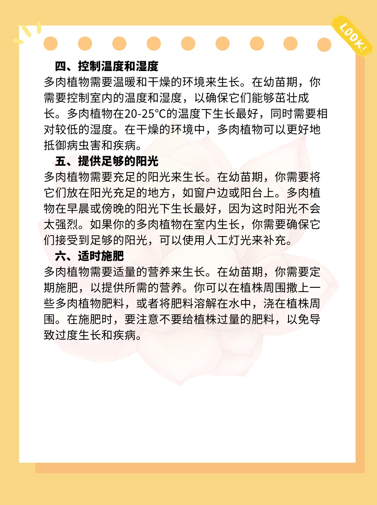 多肉幼苗怎么养? 选择叶色正常