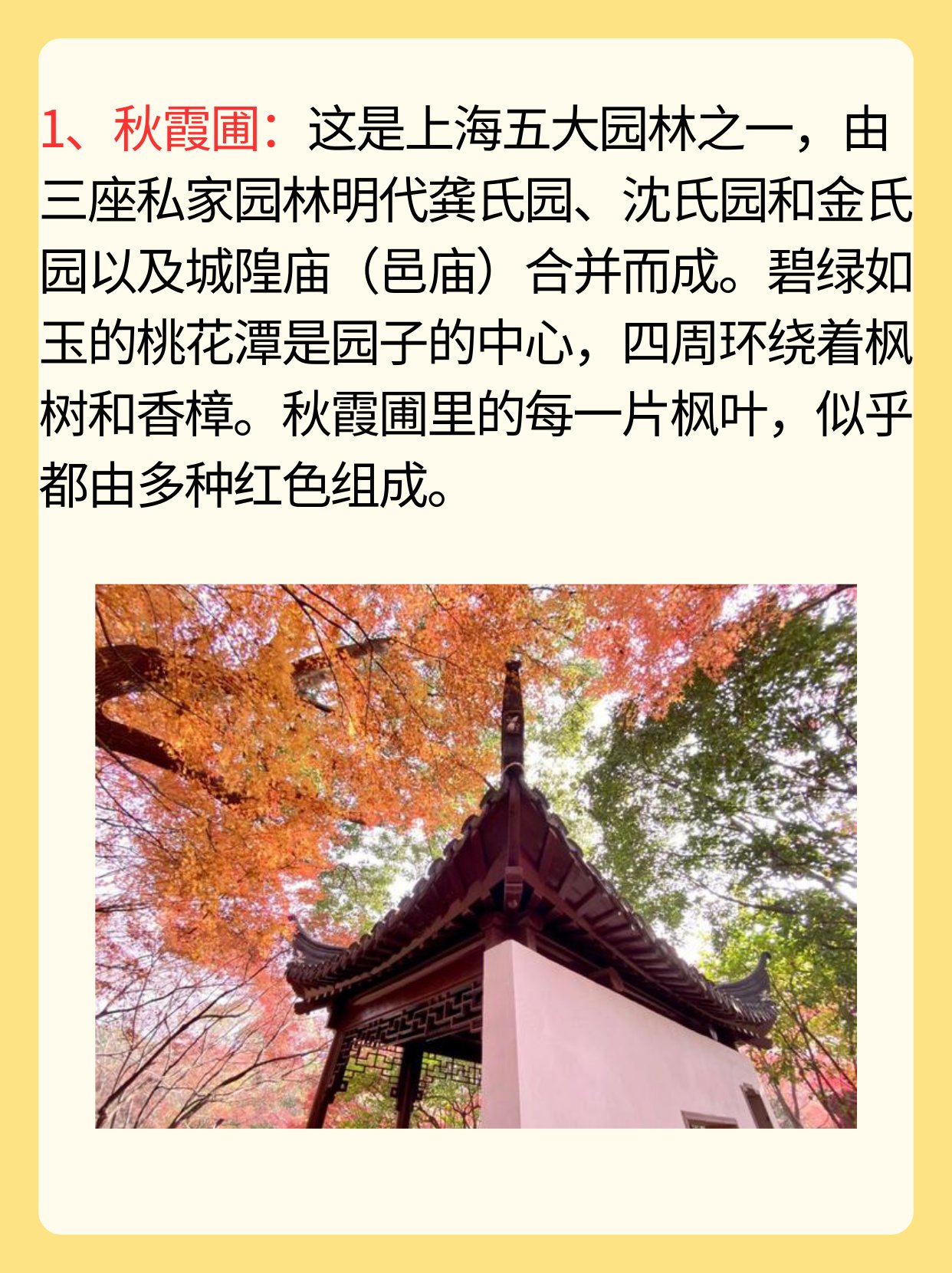 上海看枫叶的最佳地方 最美沿江跑道和美食街等设施