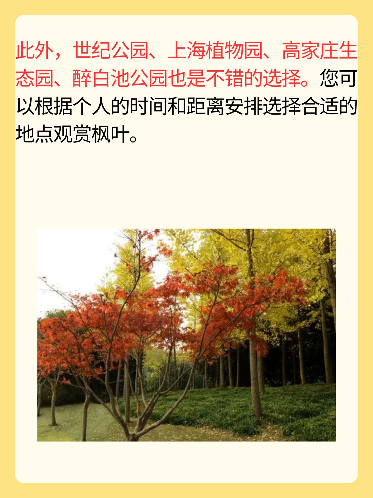 上海看枫叶的最佳地方 湘湖陶瓷文化岛