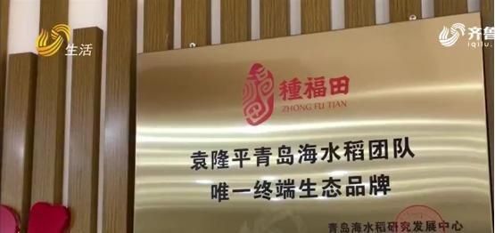 种福田海水稻-种福田将带来优质海水稻产品,全国十大基地丰收在望!_百 ... 文章目录