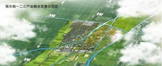 种福田海水稻-种福田将带来优质海水稻产品,全国十大基地丰收在望!_百 ... 文章目录: