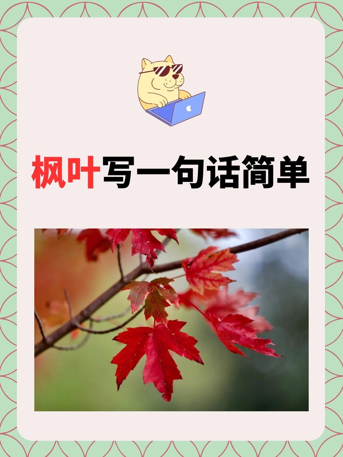 枫叶写一句话简单 文章目录