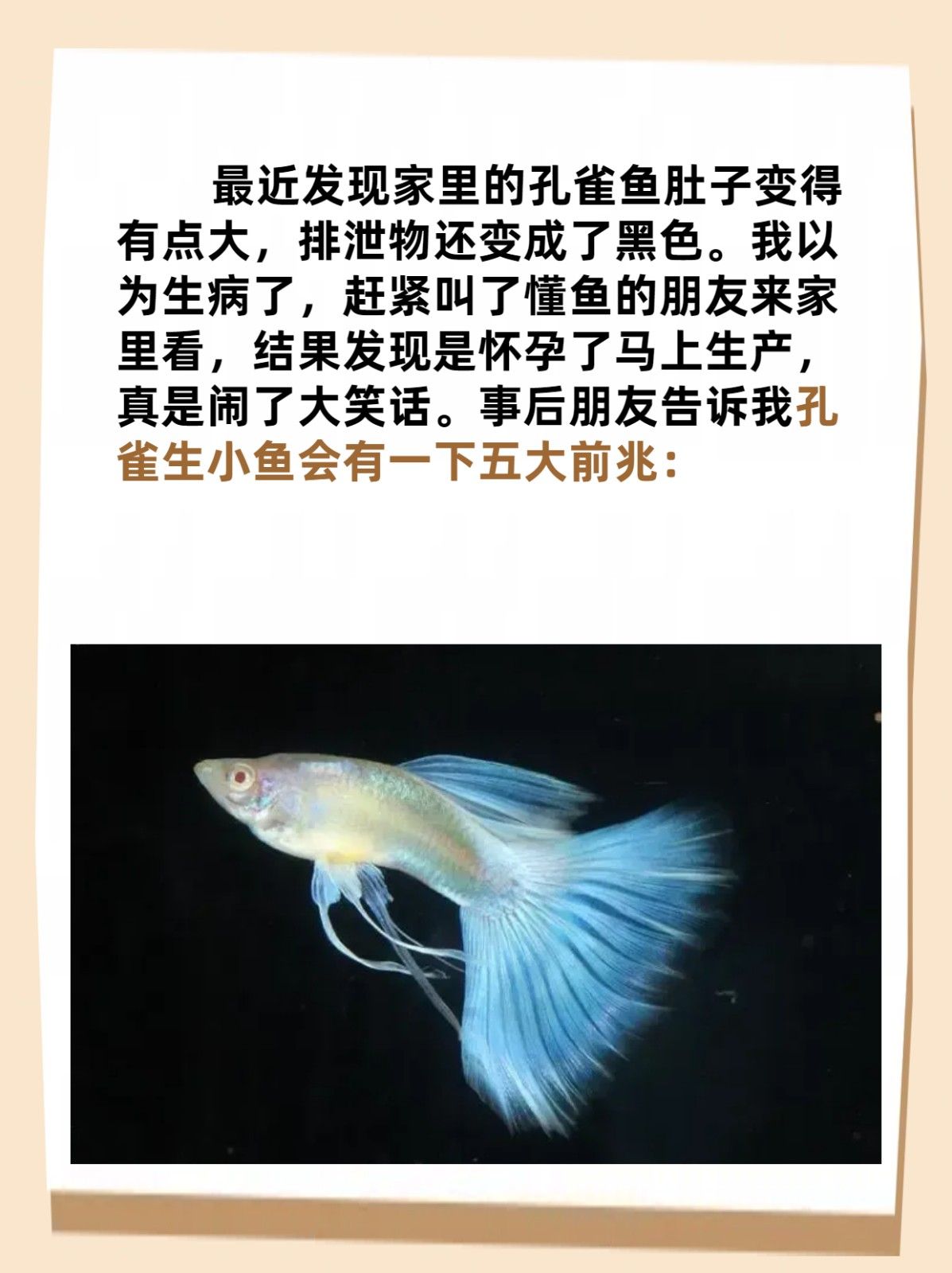 孔雀鱼生小鱼前兆 文章目录: