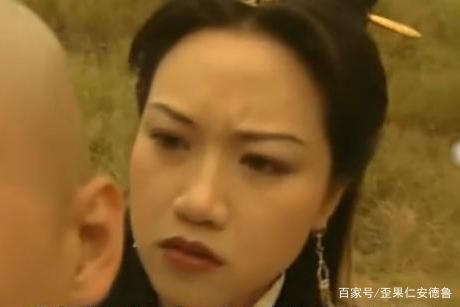 西夏国的公主