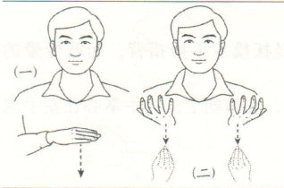 怎么用手语表达“安静”的意思? 文章目录