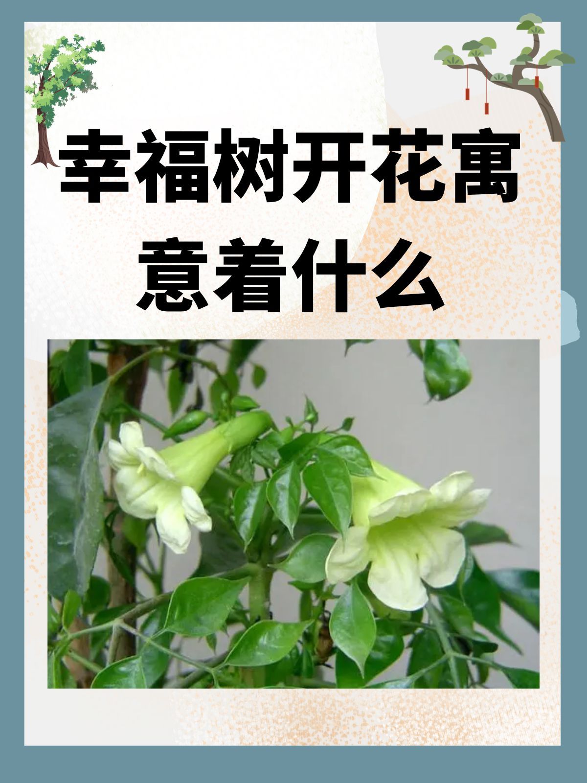 文章目录
