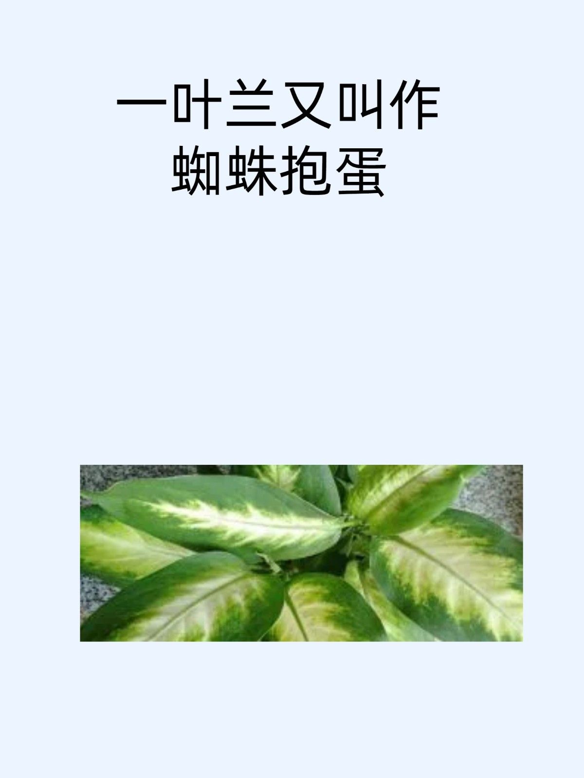 同题参见
