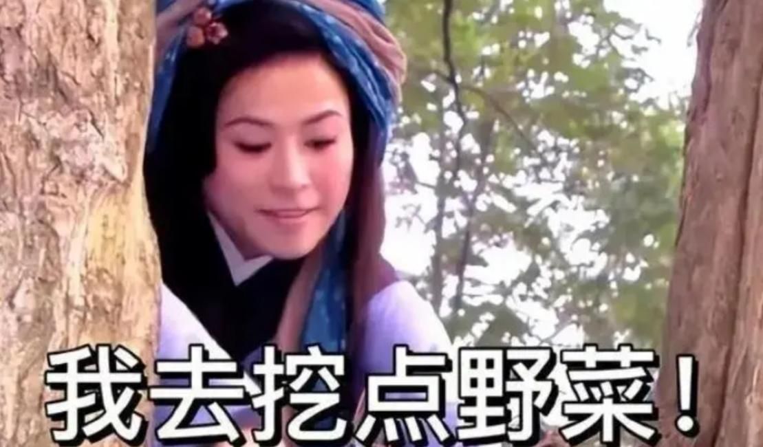 同题参见建议遵守相关的法律法规和社会