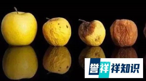 孕妇在怀孕期间有哪些饮食禁忌 具体如下
