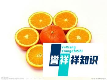 文章目录：