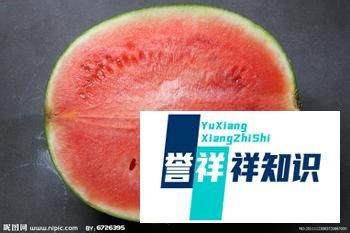 结合创意造型与食材特性打造高颜值摆盘