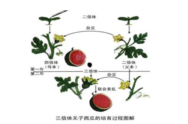 文章目录