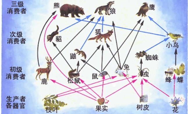 生物链是开云注册福利?有开云注册福利作用? 文章目录