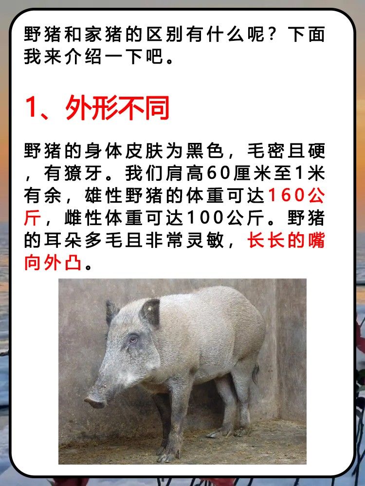 文章目录：