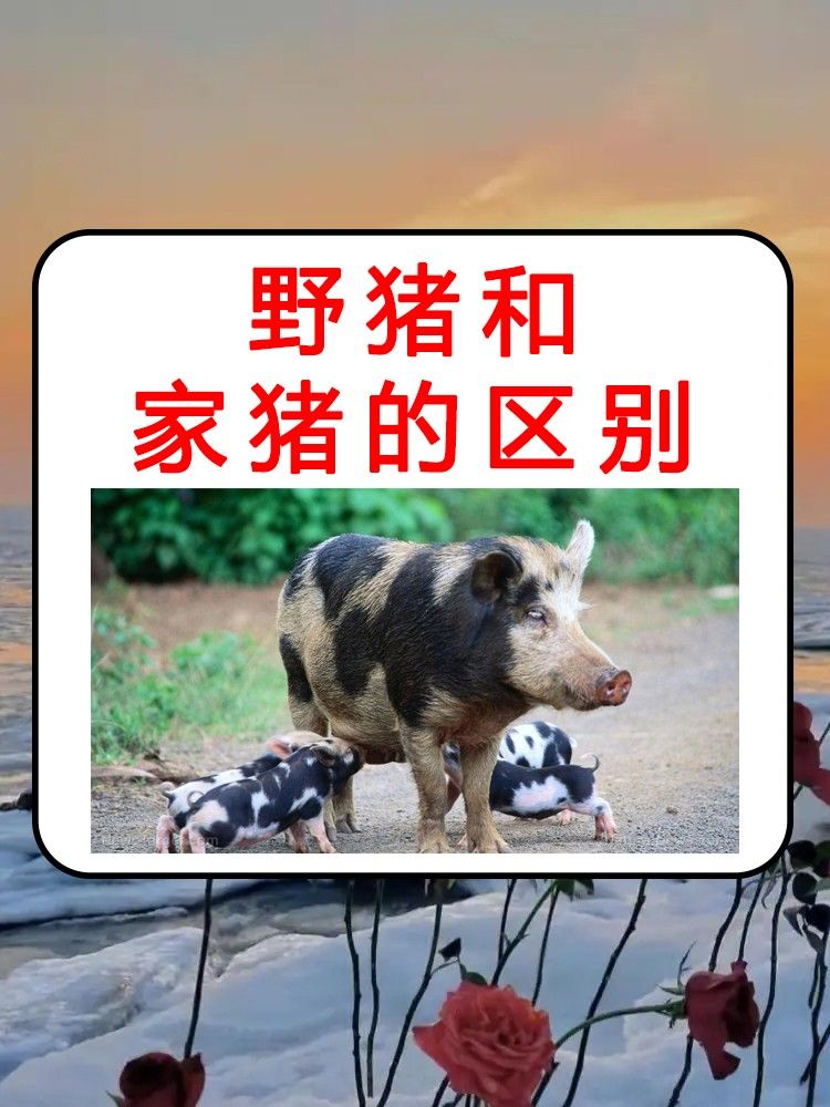 文章目录