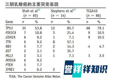 三阴乳腺癌的基因突变和治疗 文章目录: