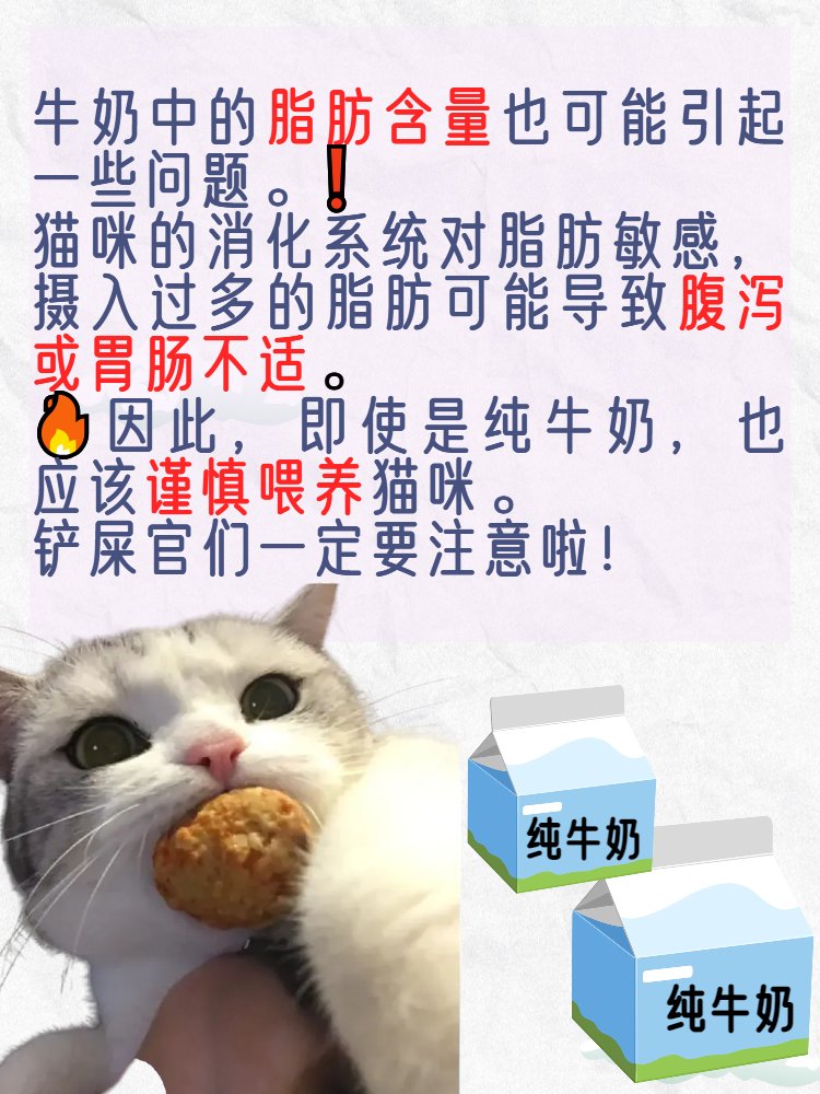 猫咪可以喝纯牛奶吗 对于需要控制乳糖摄入的人群来说