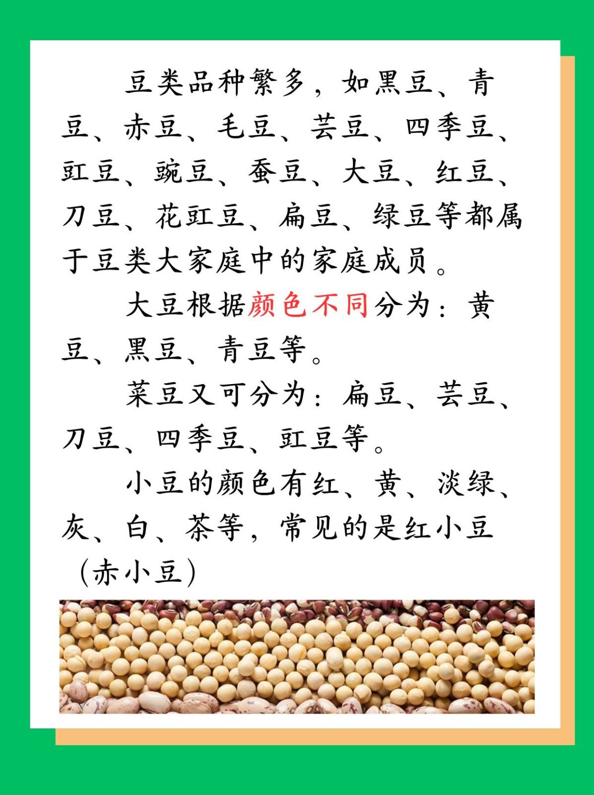 豆子的种类 文章目录: