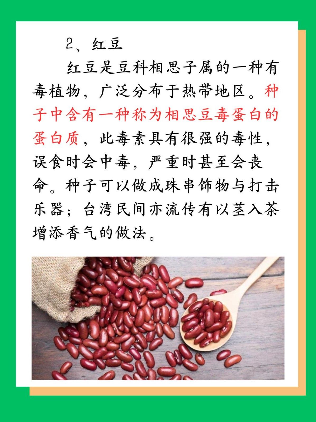 豆子的种类 解毒排脓
