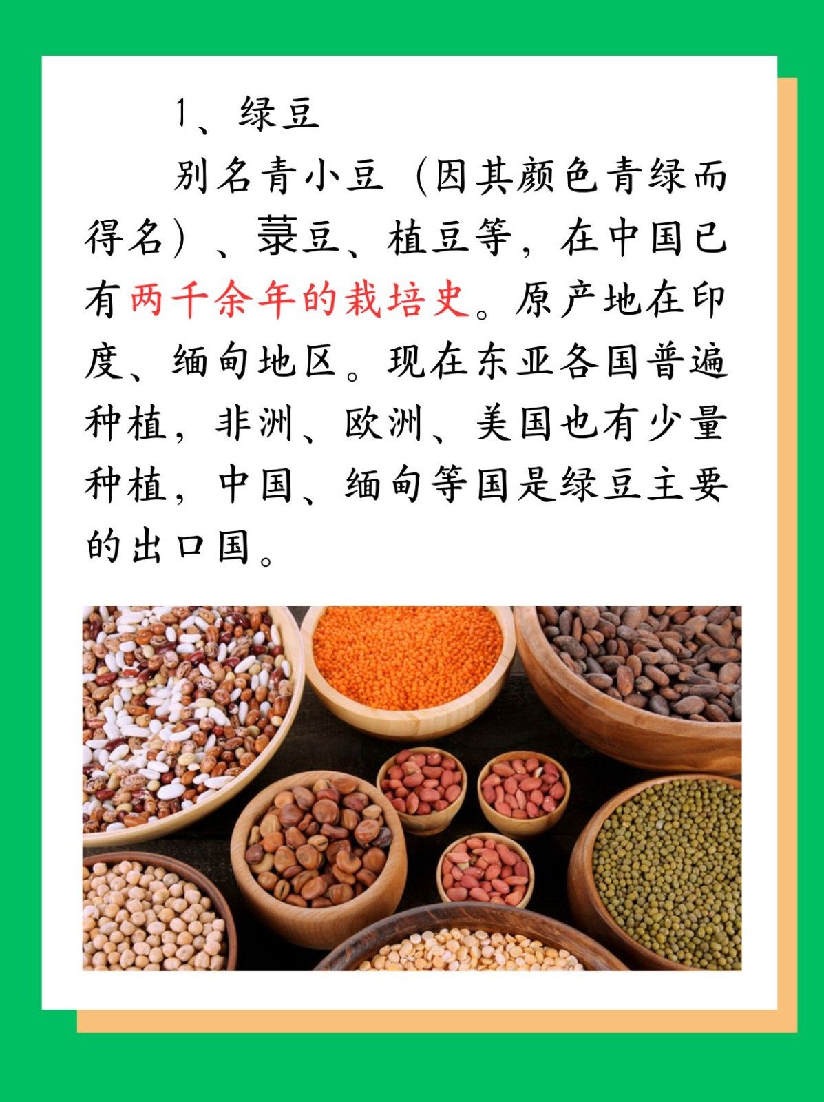 豆子的种类 红小豆(赤小豆)具有消除水肿