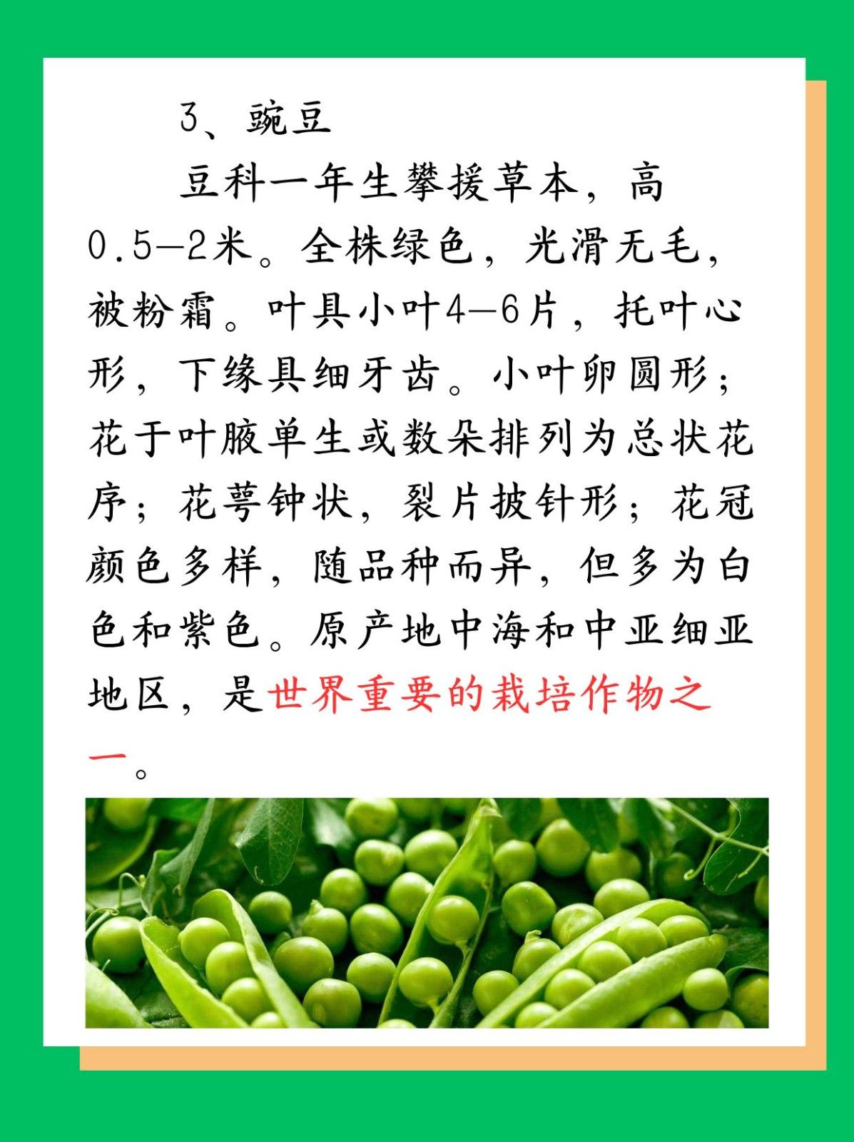 豆子的种类 降压降脂